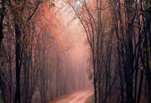 08国少热身落败非坏事 主力替补水平差距大.：海星体育直播