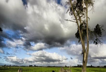 [高尔夫]亚巡次级赛巴基斯坦公开赛本土一哥夺冠 陈顾新T41.：海星体育直播